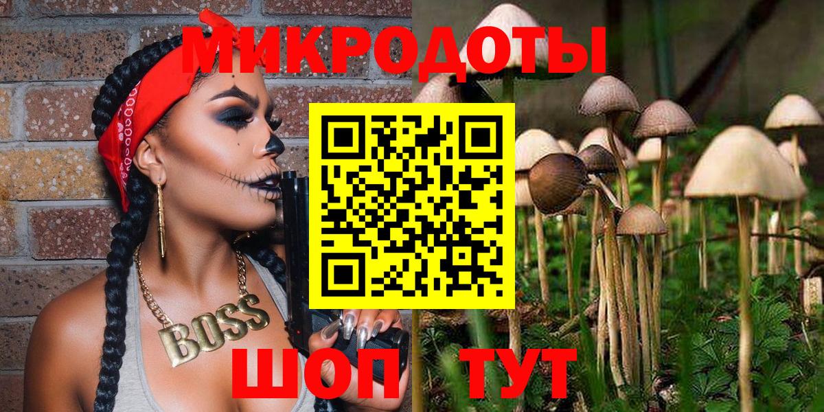 Псилоцибиновые грибы мицелий  наркошоп  Гудермес  Вход с VPN 