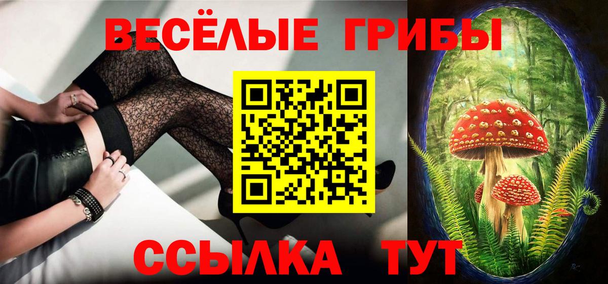 Псилоцибиновые грибы прущие грибы Гудермес